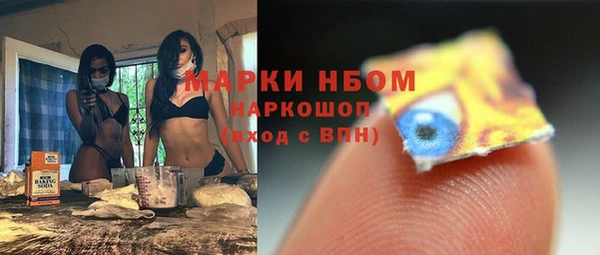 стаф Алагир