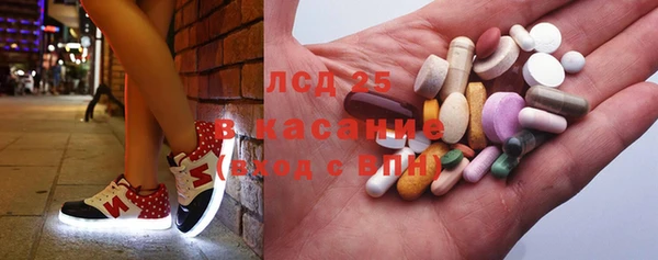 гашик Нефтекумск