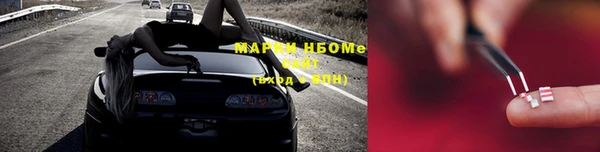 стаф Алагир