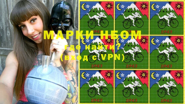 гашик Нефтекумск
