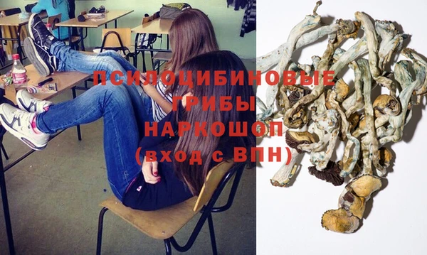 стаф Алагир