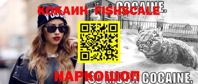 твердый Гатчина