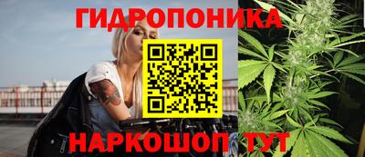 твердый Гатчина