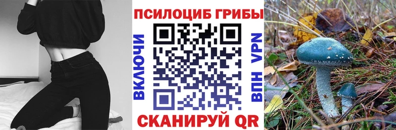 купить  цена  Новокузнецк  ссылка на мегу как зайти  Галлюциногенные грибы Psilocybe 