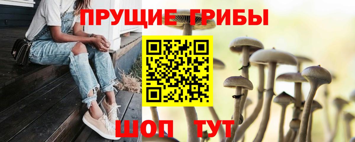 Псилоцибиновые грибы Magic Shrooms Новокузнецк