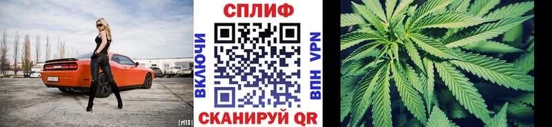 Бошки Шишки конопля  где продают   Новокузнецк 